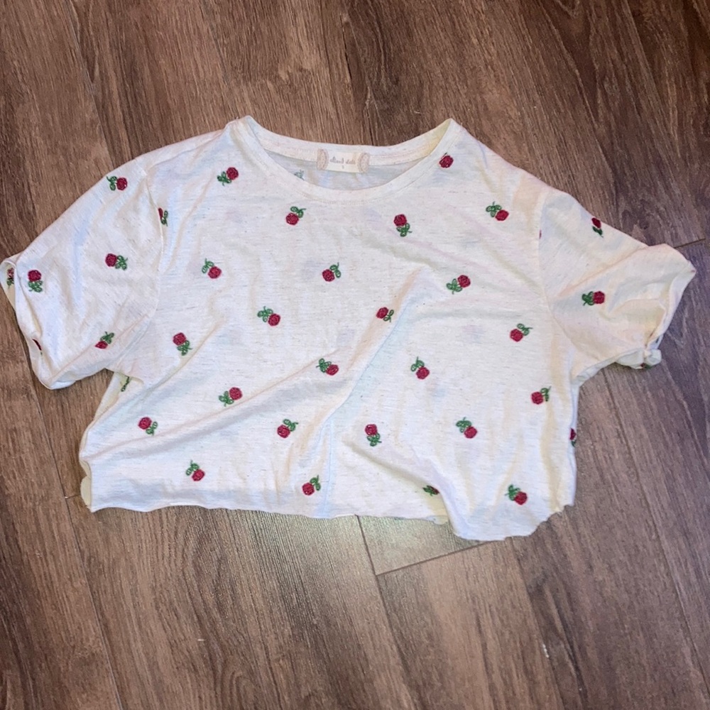 ALTAR’D STATE Cropped Embroidered Rose Tee— Size S